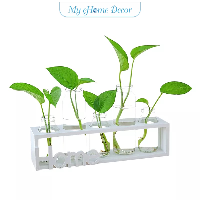Tabletop vase plant storage rack decorative rack water growed plant ...