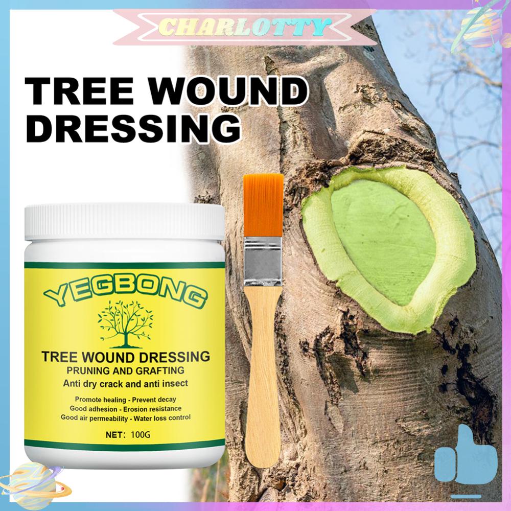 CHA Tree Wound Dressing Tree Bonsai Wound Pruning Sealer Plant Cut