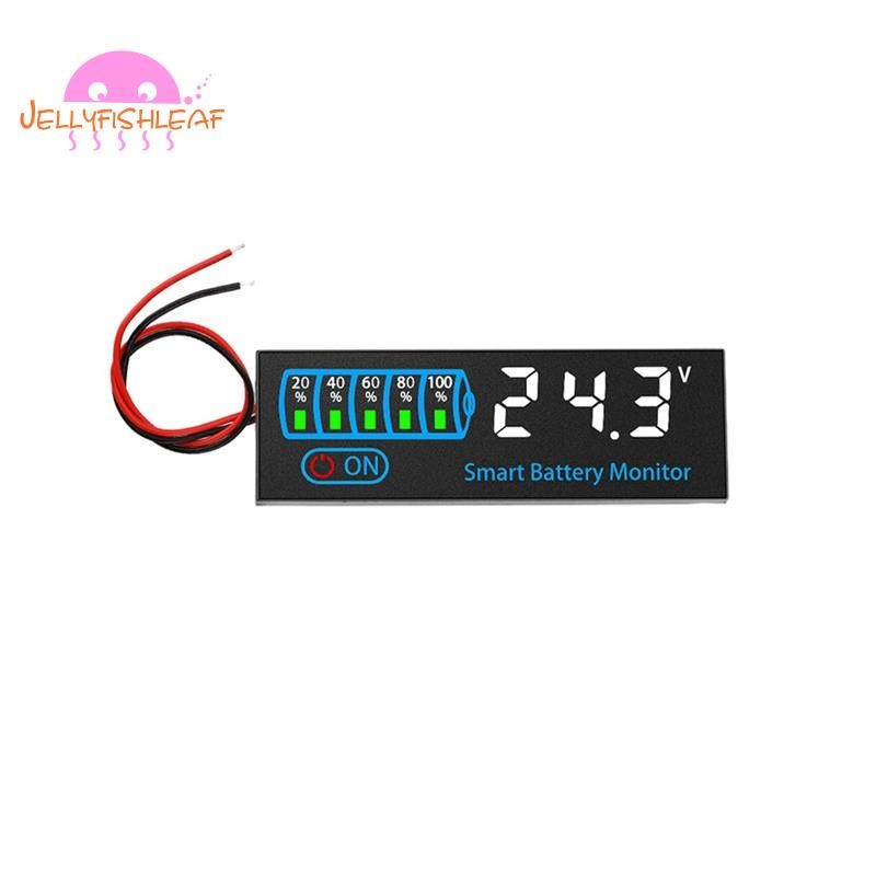 Testeur De Tension Batterie Li-ion DC 7-55V - Indicateur LED Niveau De Charge - Neuf