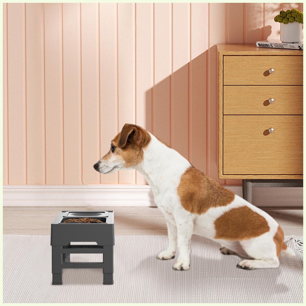Dog Bowls with Stand Elevated Dog Bowls Adjustable 4 Heights Raised Dog