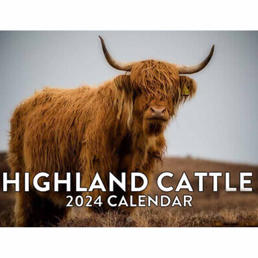 calendar-funny-highland-cow-calendar-2024-highland-cattle-calendar