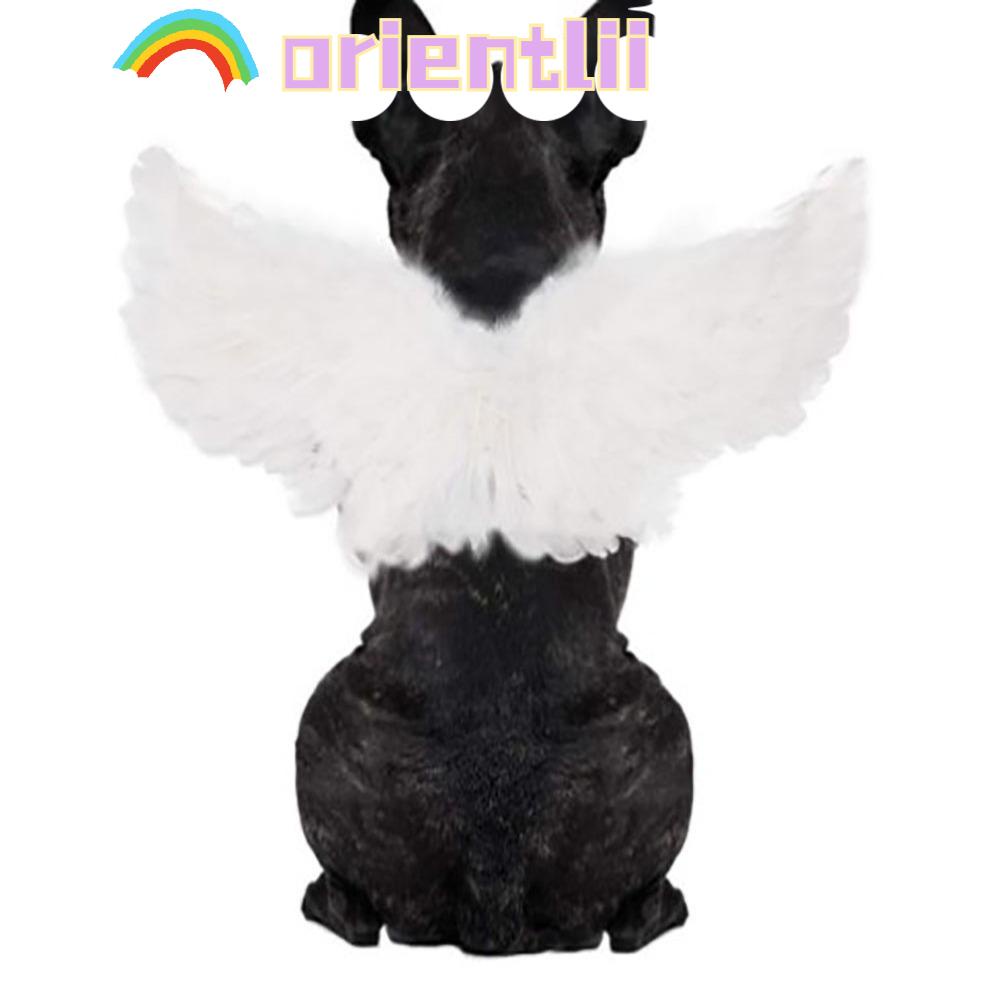 ORIENTLIIY Small Dog Changing Outfit, punk Soft Dog & Cat