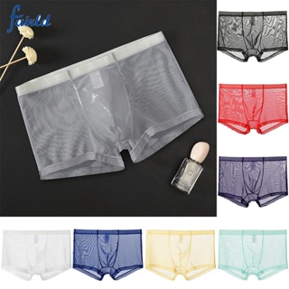 Mens see through Underwear mesh Pants transparent Boxer underpant