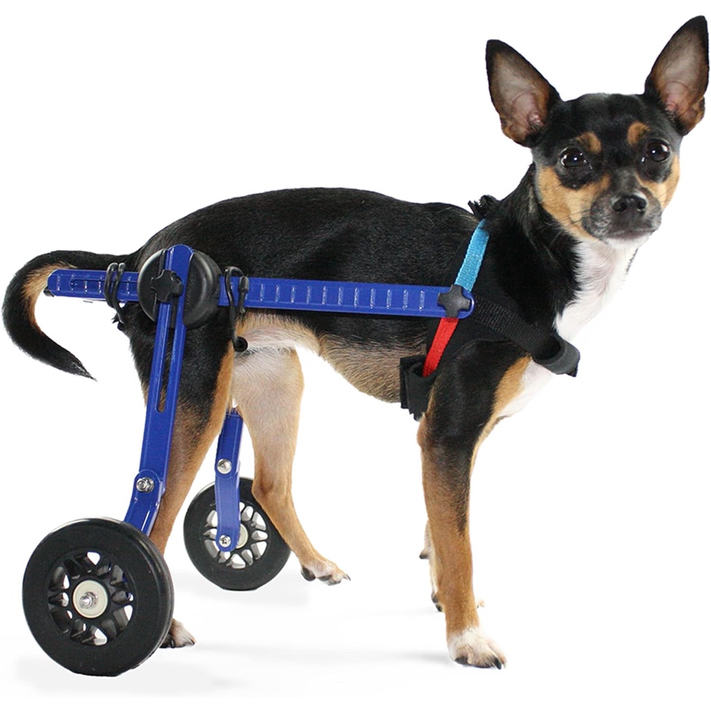 Walkin’ Wheels Mini Small Dog Wheelchair, Lightweight Dog Wheelchair