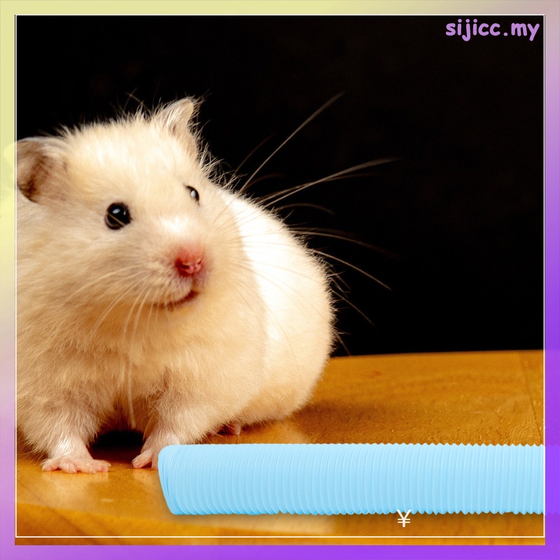 Toys Pipe Plastic Tunnel Hamster Tunnels Ferrets Taste sijicc Shopee