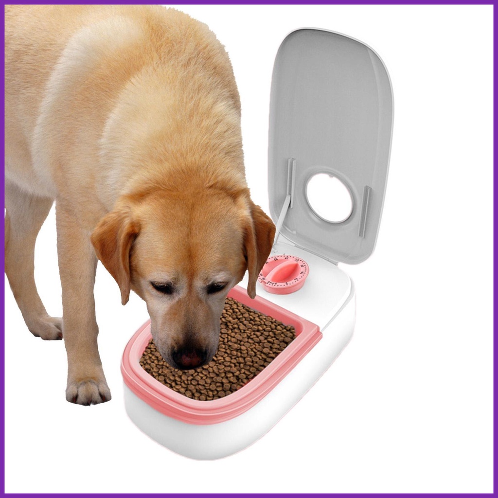 Automatic Cat Feeders Timed Cat Feeder Food Dispenser Dog Feeding