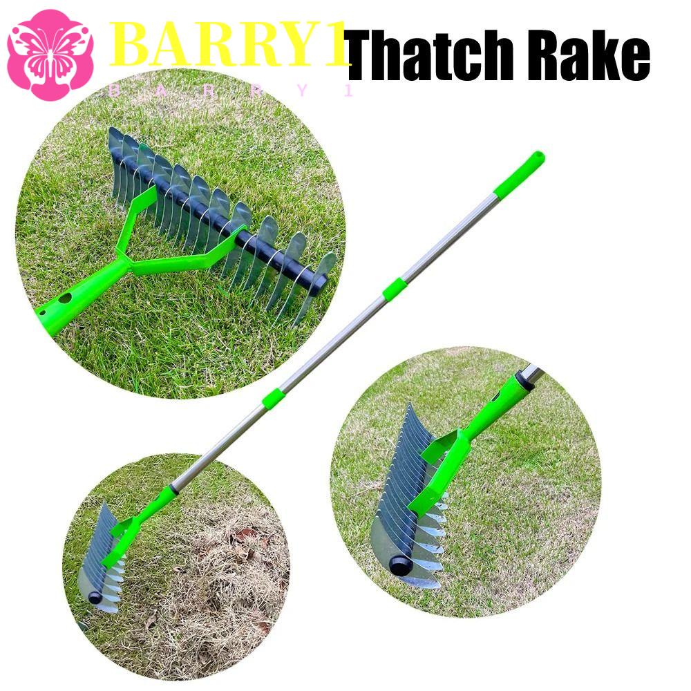 BARRY1 Thatch Rake, with Rod Descaling Grass Rakes, Sturdy Scarifier