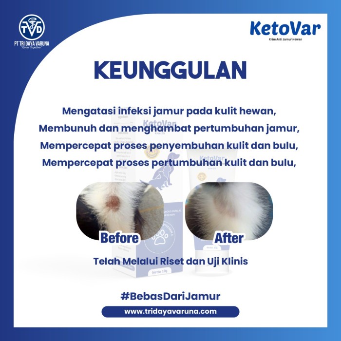 Laris Cream To Kill Ringworm Fungus On Cats Dogs Rabbits Ketovar Shopee Malaysia