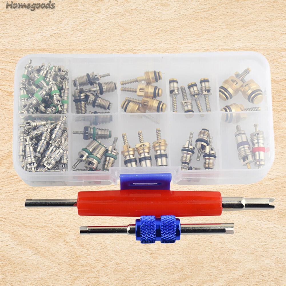 102Pcs AC Valve Core Assortment R134A Car Air Conditioner Valve Cores