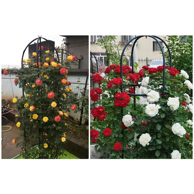 Garden Arch Trellis Climbing Plant Support Rose Tower Vine Supports For ...
