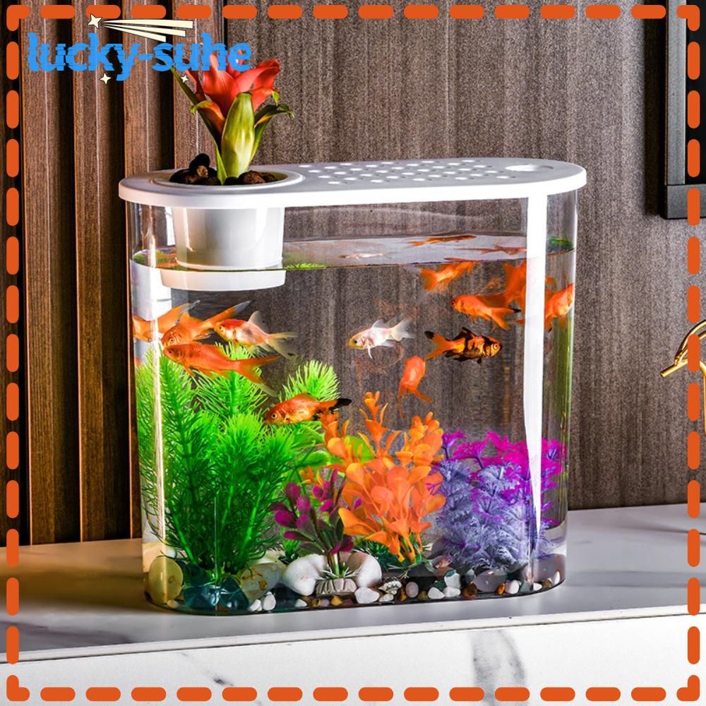 LUCKY-SUHE Goldfish Tank, Transparent Cylinder Goldfish Bowl, Plastic ...