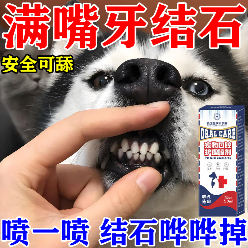 Pet Remove Dental Calculus Remove Yellow Remove Freckles Remove Bad ...