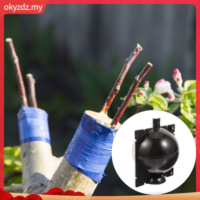 Air Layering Propagation Balls Rooting Growing Breeding Box Small