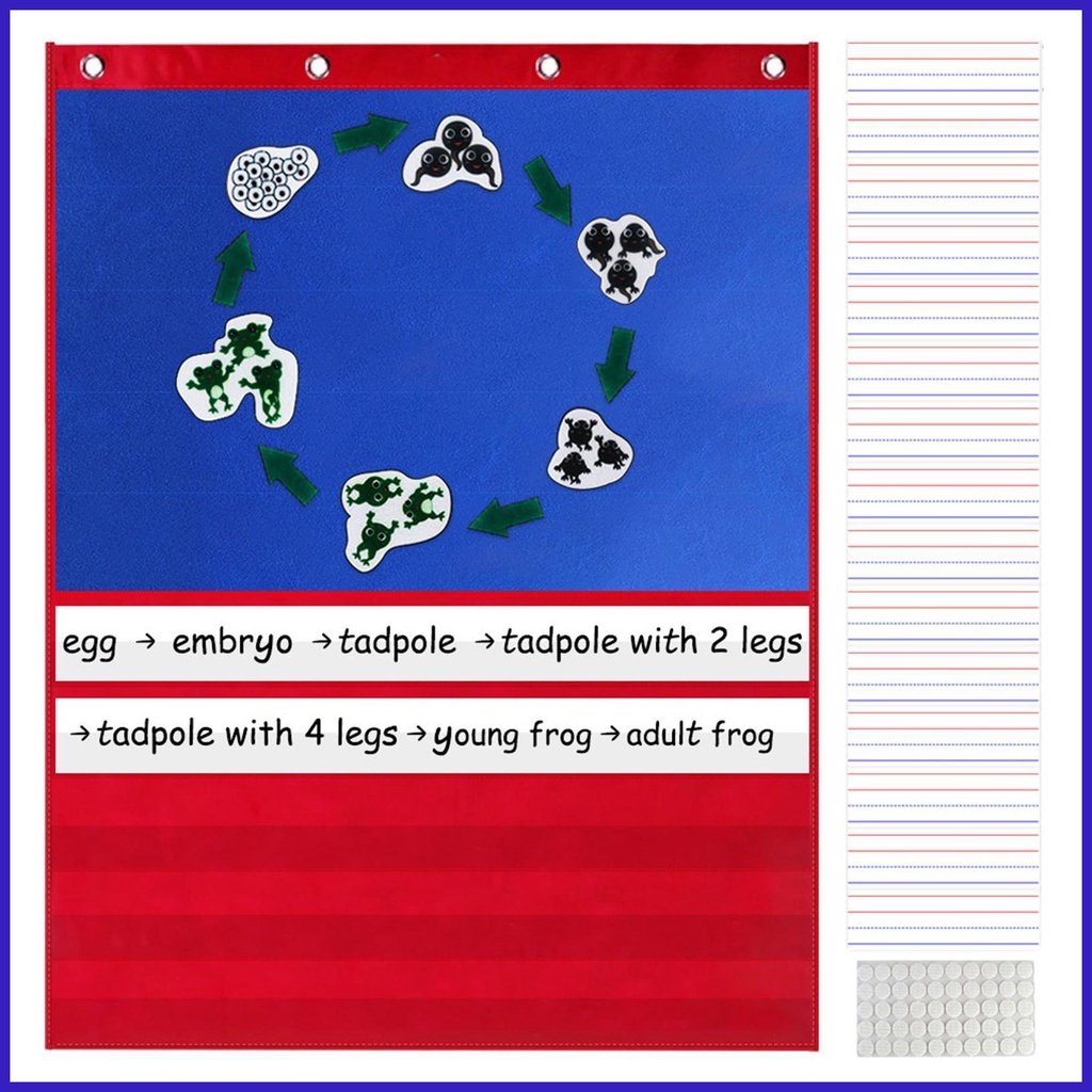 Standard Pocket Chart Blue Pocket Chart with 15 Dry Erase Cards and 50