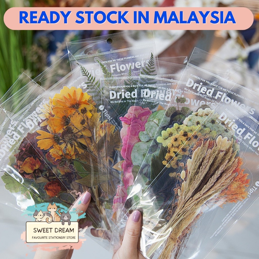6 pcs/pack PET transparent vintage flowers plant sticker journal ...