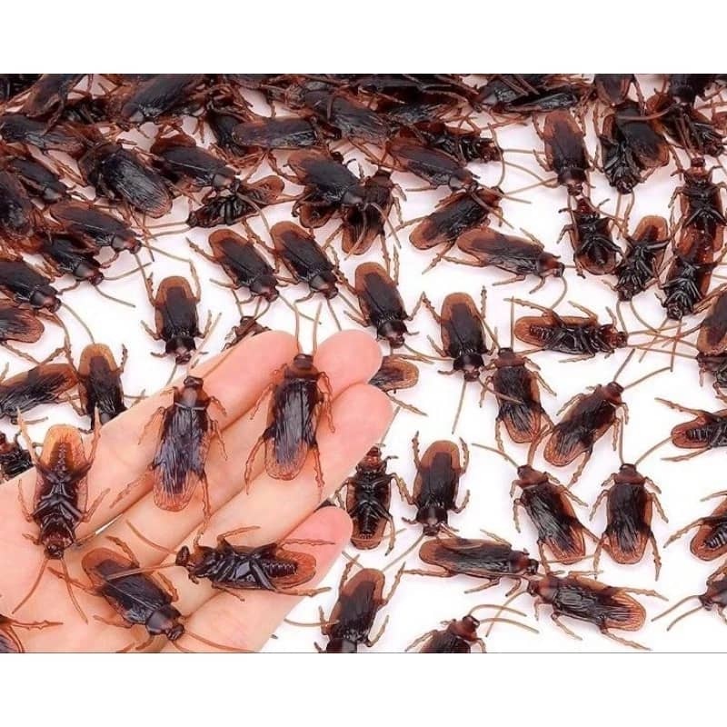 Fake cockroach toy sales