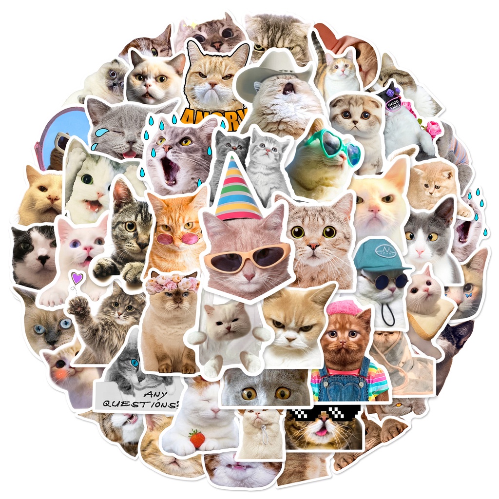 50PCS New Styles Cats Kitten MEME Waterproof Graffiti Stickers For ...