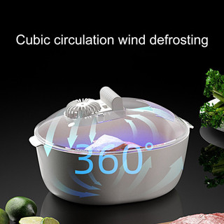 4 in 1 Defroster Multi-Functional Thawer Fast Food Thawing Box USB