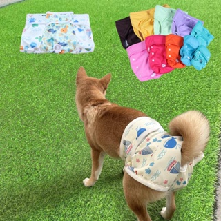 Buy diapers dog male small Online With Best Price, Mar 2024