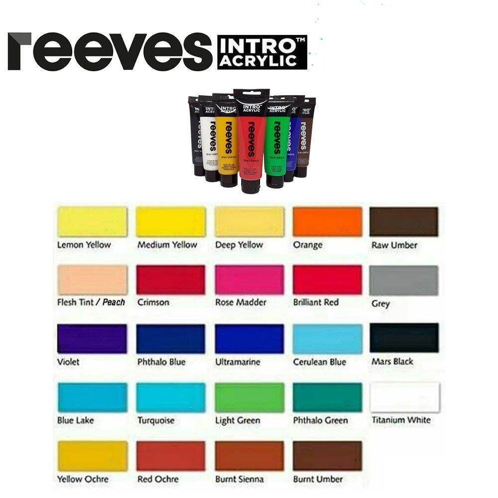 Reeves Intro Acrylic Colouring Color Paint 100ml (Winsor & Newton ...