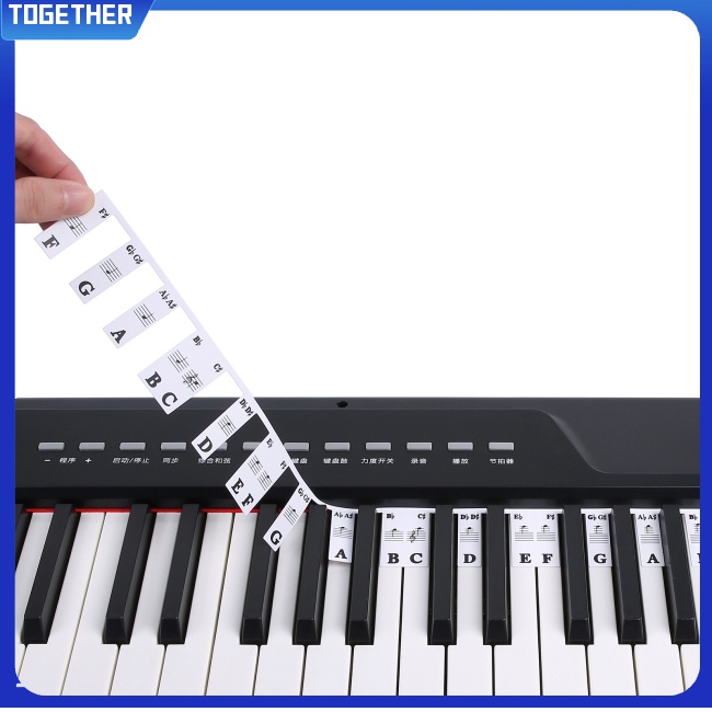 TOT Piano Keyboard Note Labels 88 Keys / 61 Keys Removable Piano Notes ...