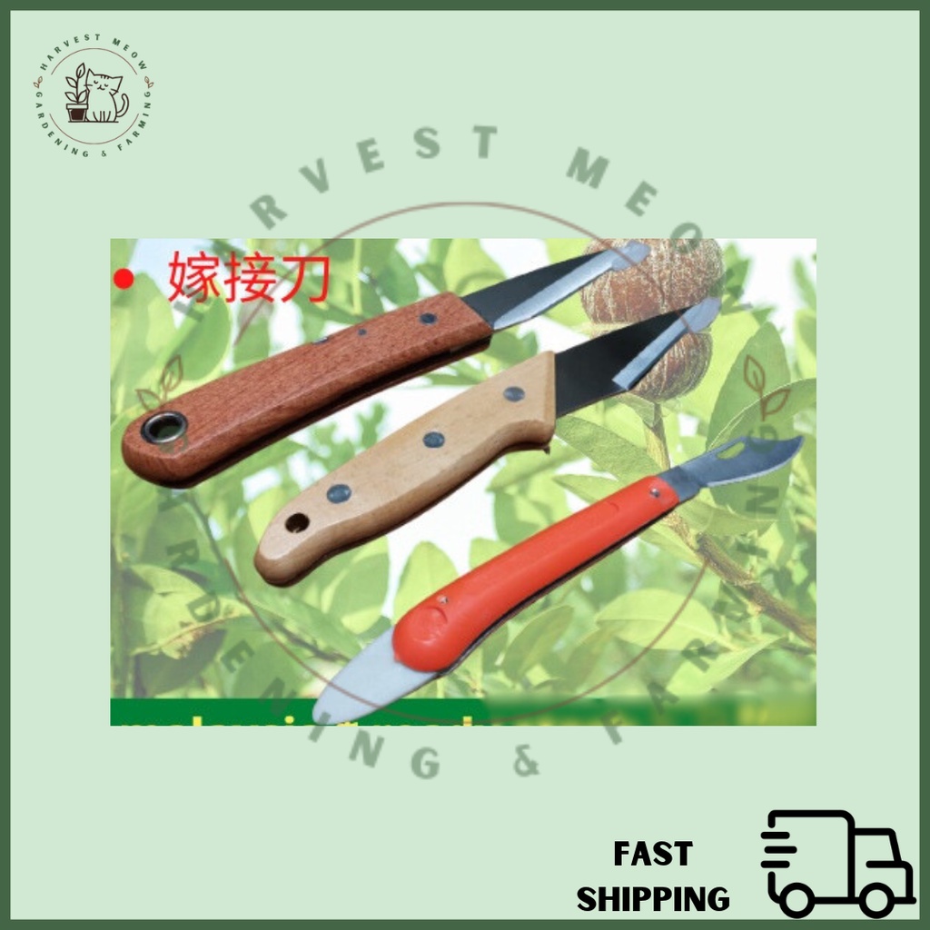Folding Grafting Knife Plants Grafting Knife Pisau Kahwin Pokok 接树刀 嫁接刀