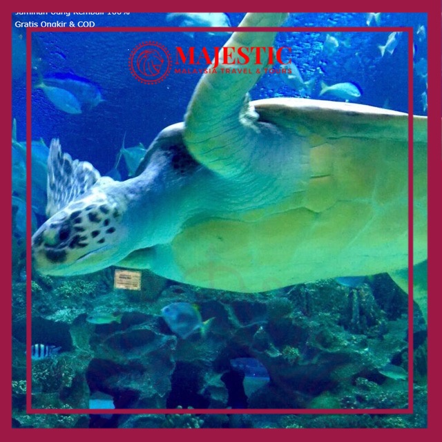 [PROMOSI] Tiket Aquaria KLCC Kuala Lumpur untuk Warganegara Malaysia