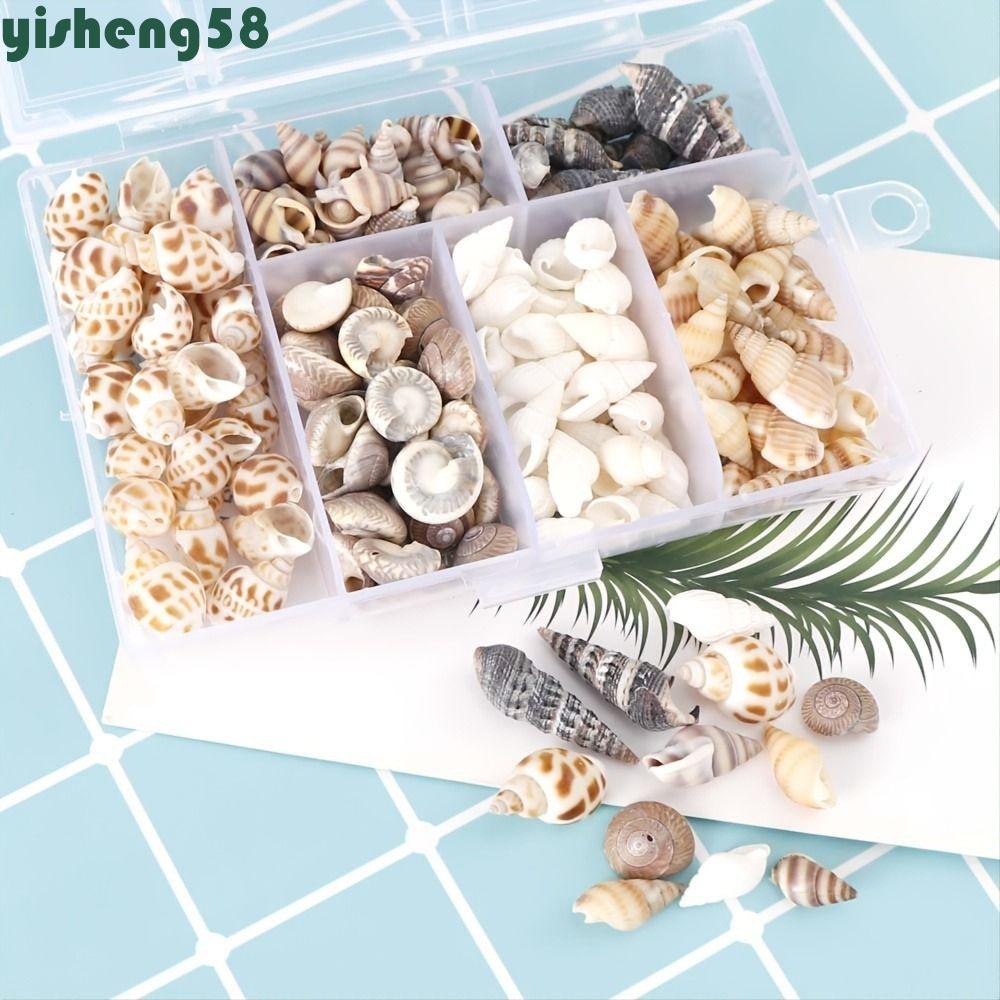 YISHENG Natural Sea Shells, Non Porous Handmade Conch, Drifting Bottle ...
