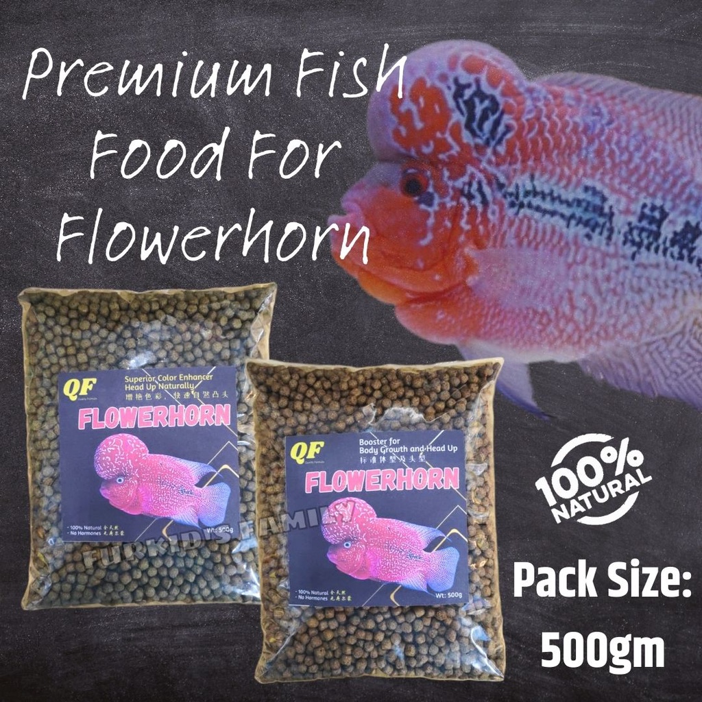 花罗汉 Flowerhorn Food Premium Fish Pellet Colour Enhancer / Body Growth & Head Up Booster (500g