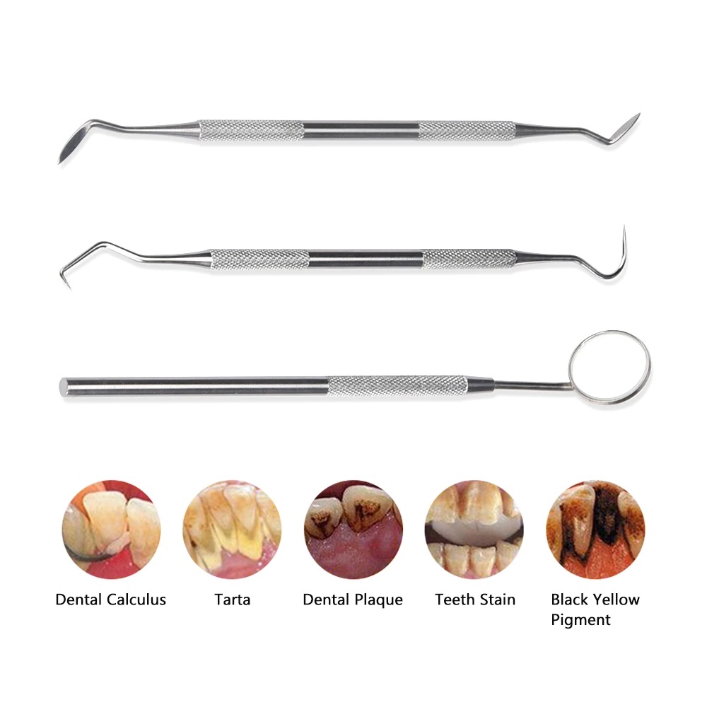 6pcs Stainless Dental Mirror Set Sickle Tartar Scaler Teeth Pick ...
