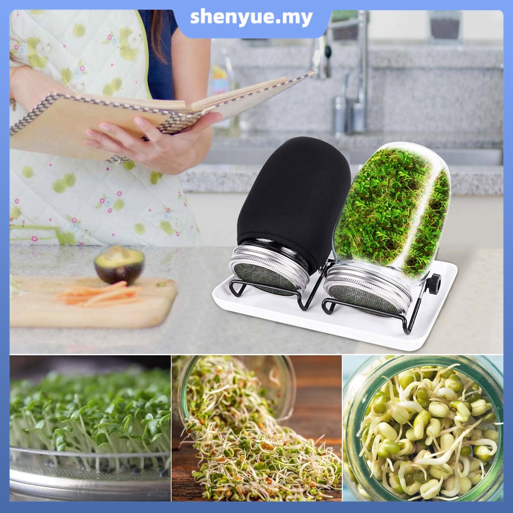 Seed Sprouting Jar Kit with 2 Wide Mouth Mason Jars Bean Sprouts