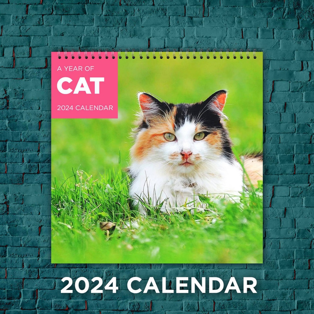 canaan Standing Desk Calendar 2024 Desk Calendar 2024 Catastrophe