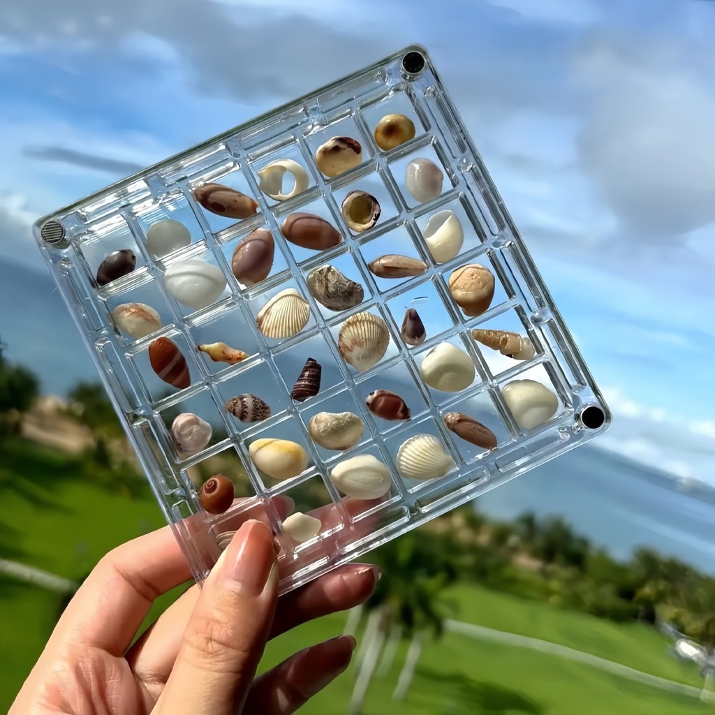 Shopee Official Holiday Creative Acrylic Transparent Shell Storage Box ...