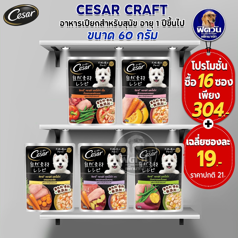CESAR CRAFT Dog Wet Food Size 60 G. (16 Sachets) Shopee Malaysia