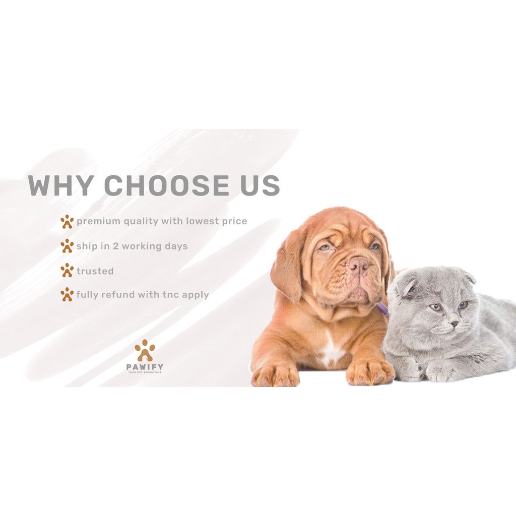 Pet Diapers Disposable Pet Diapers Dog Diapers Diapers Kucing Female