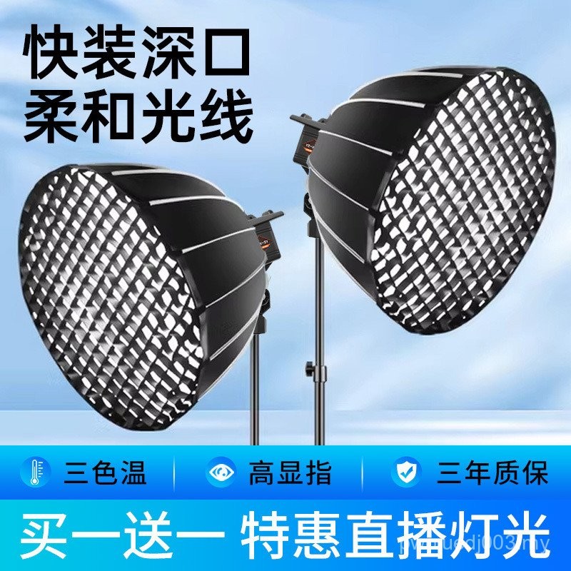 Spherical Professional Fill Light Indoor Goods Live Broadcast Anchor ...