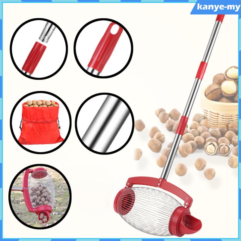 [KY] Nut Gatherer Roller Rolling Nut Collector Detachable Acorn Picker
