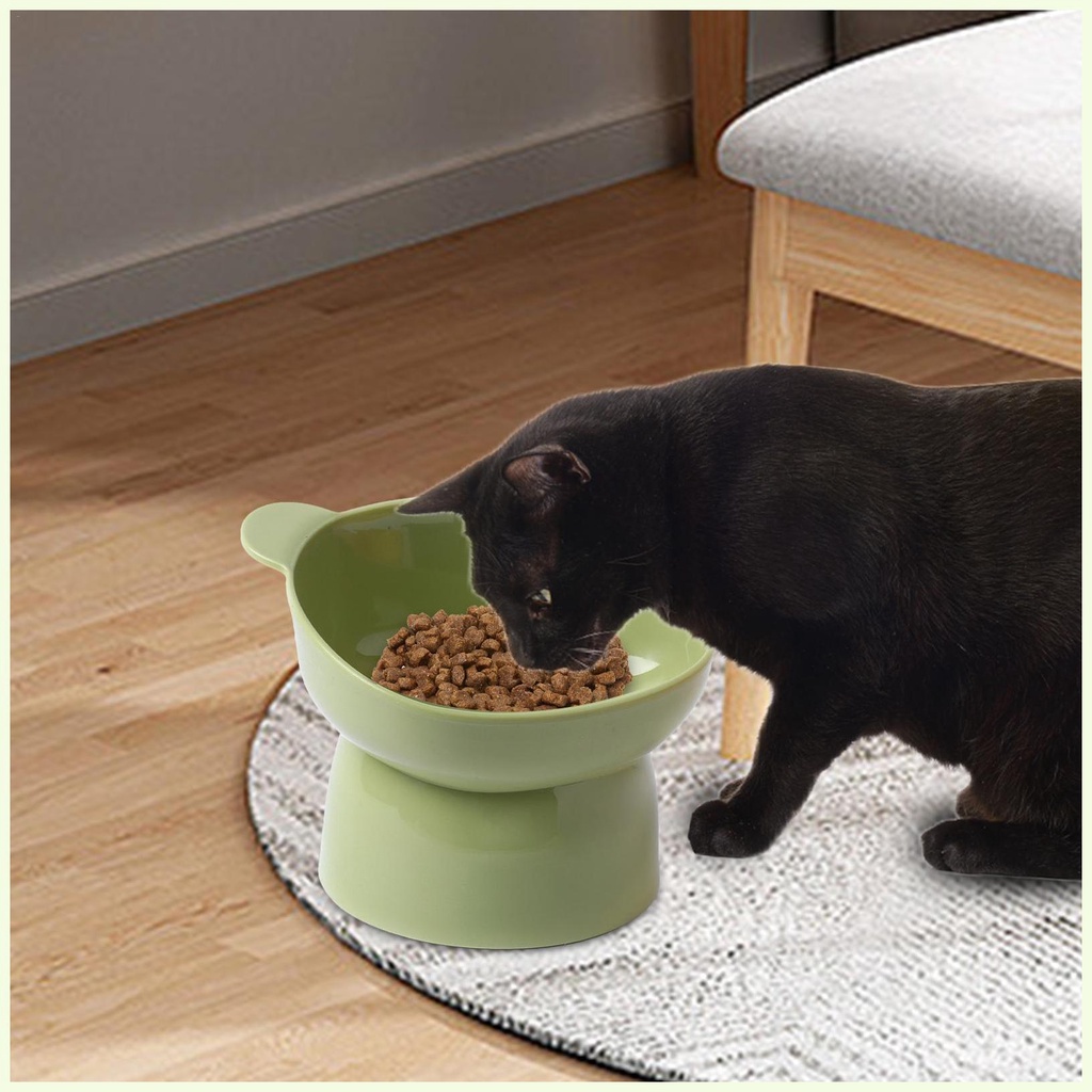 Slanted Elevated Dog Bowl Cat Feeder Bowl Raised Feeding Dishes Anti