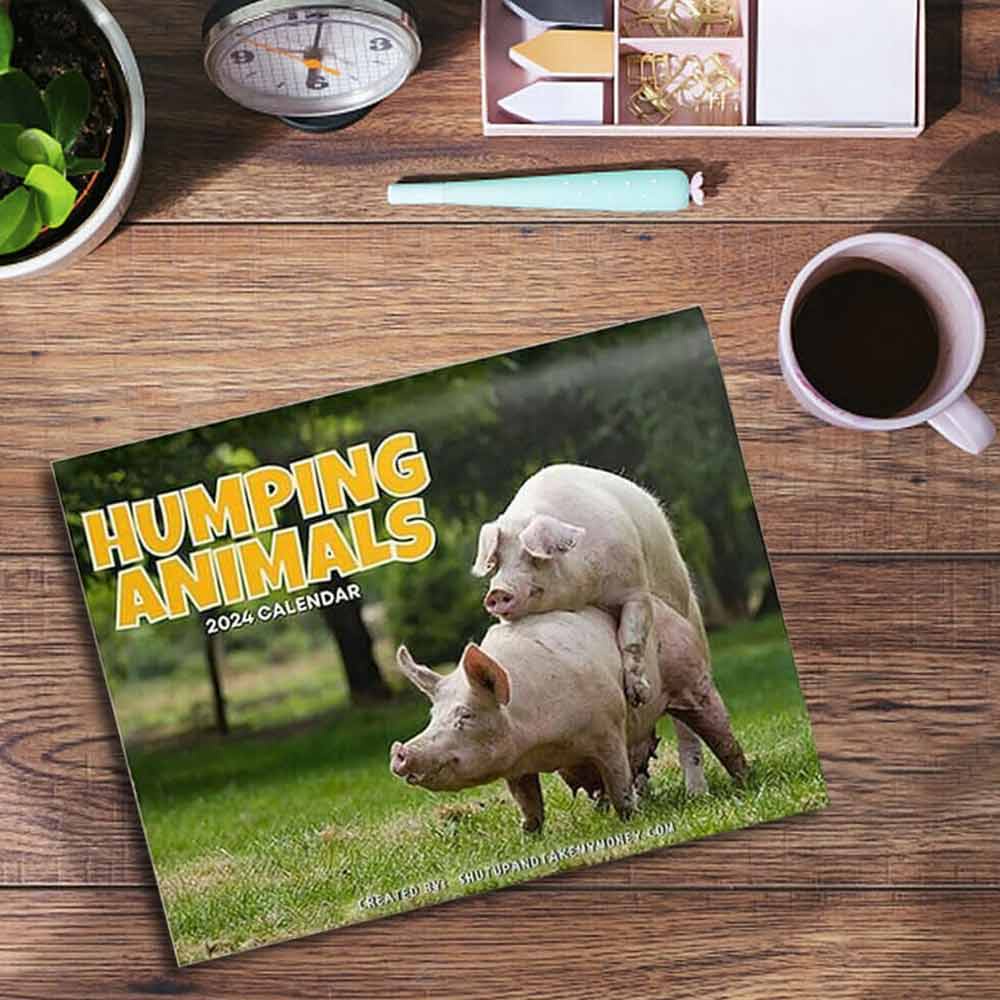 2024 Wall Calendar Monthly Hilarious 2024 Wall Planner Funny Paper