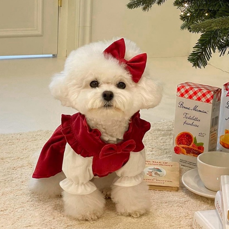 slim fit dress slacks Fall in Love Thanksgiving Dog Dress main image 0