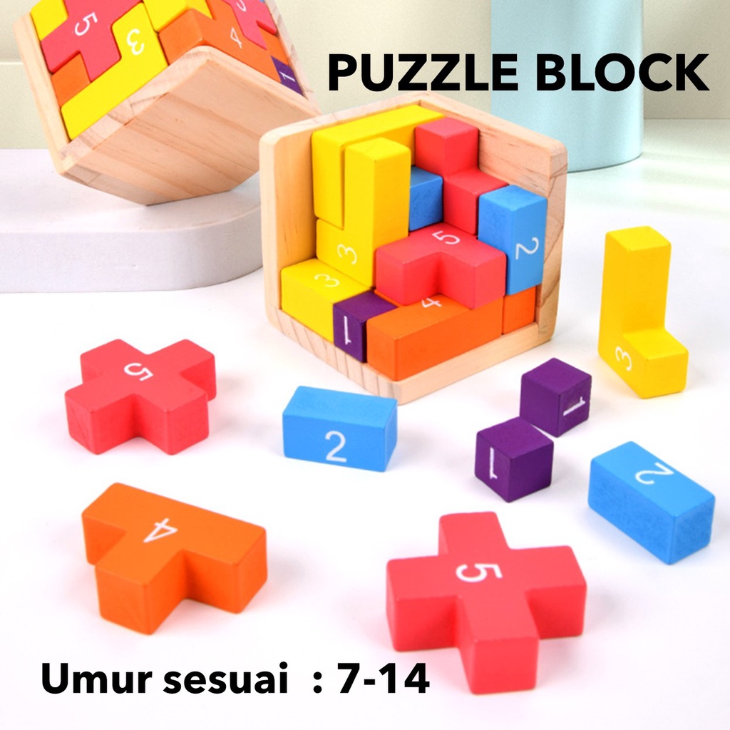 Building Blocks Mathematical Teaching Aids and Learning Aids for