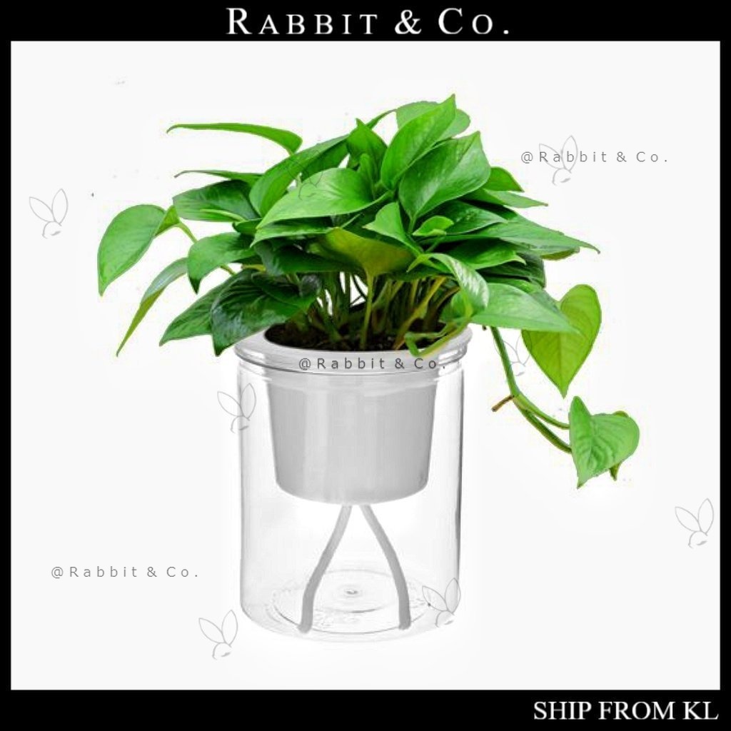 R&C Lazy Flower Pot Clear Automatic Water Absorption Planter Plastic Self Watering Pot Indoor