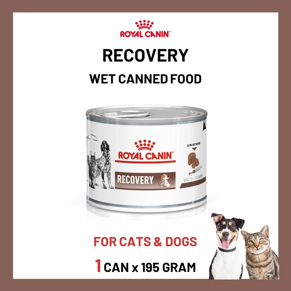 Royal Canin Recovery Wet Canned Food for cat & dog 195g x 1 Can (EXP ...