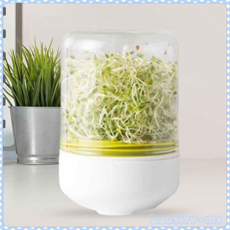 [BaosityMY] Countertop Reusable Bean Sprouts Maker Bean Plants ...