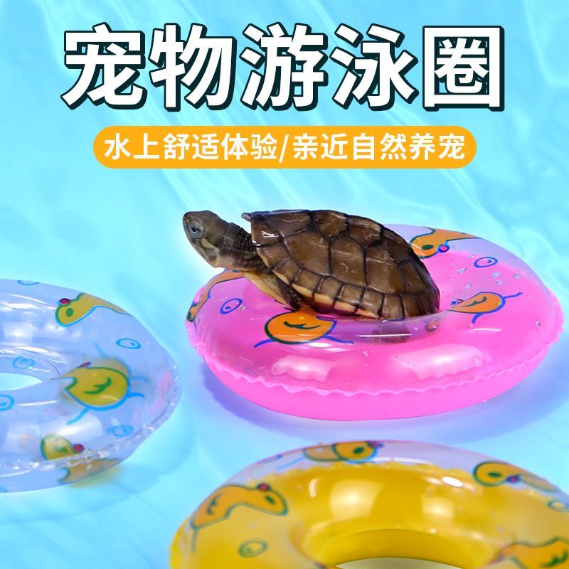 Ready Stock Turtle Swimming Swimming Ring Summer Brazilian Turtle Mini ...
