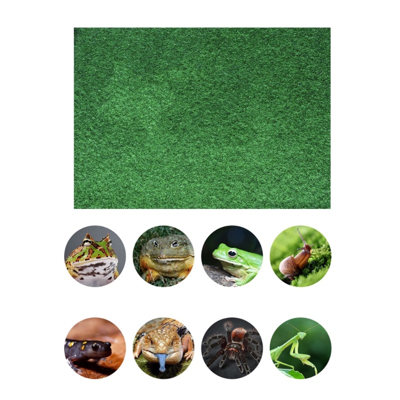 JOY Cuttable Reptiles Carpet for Floor Protections Reptiles Substrate