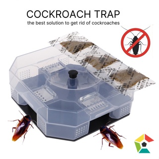 Perangkap cicak lipas Cockroach Lizard Trap Glue Stick insect trap killer  抓蟑螂 壁虎 陷阱 蟑螂屋 昆虫