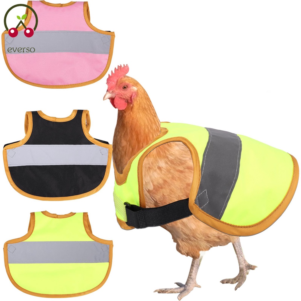 3Pcs Hen Reflective Vest Soft Lightweight Chicken Protection Vest