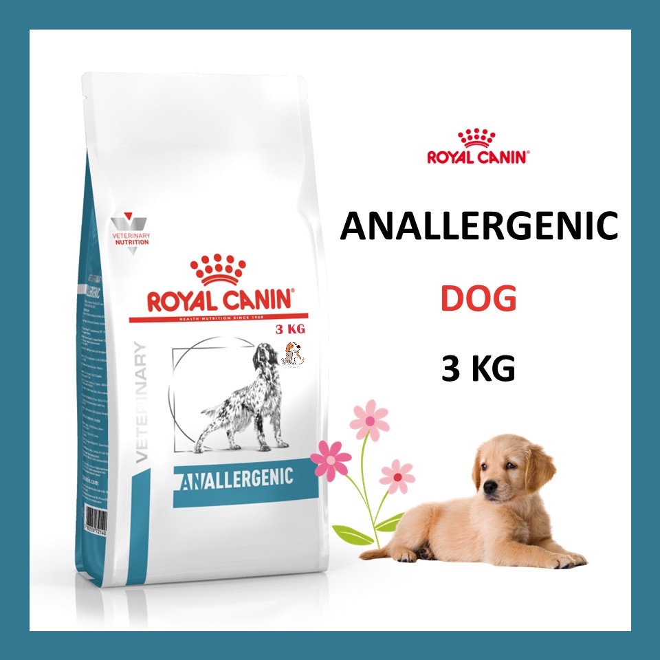 Anallergenic dog outlet