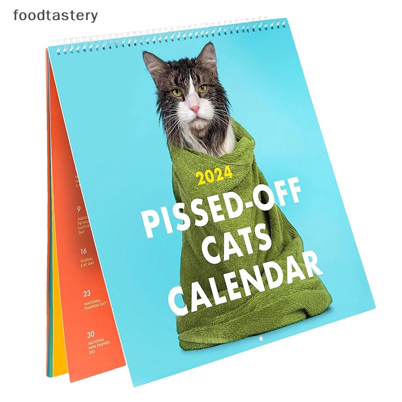 FTY Funny Cat Wall Calendar Family Organiser Calendar 2024 Pissed